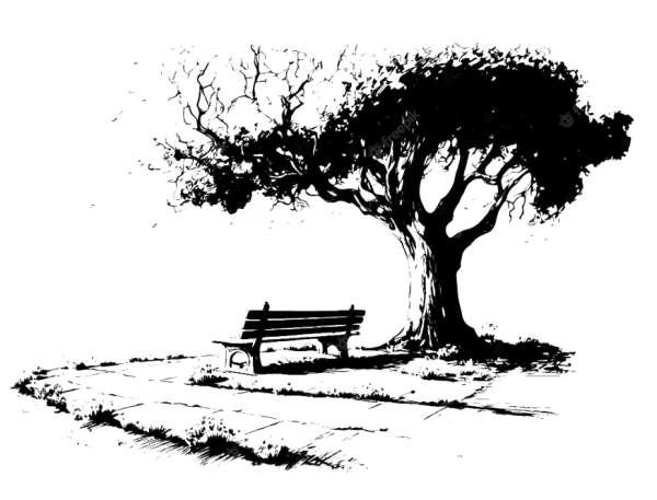 bench