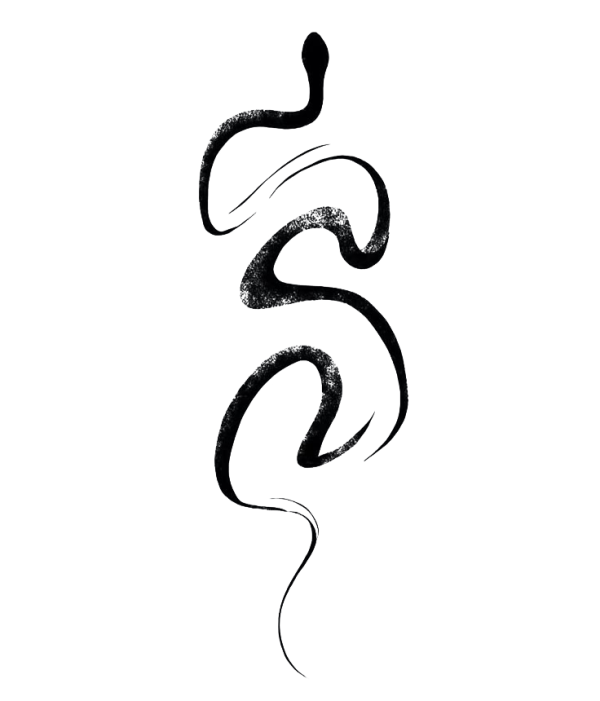 snake snake